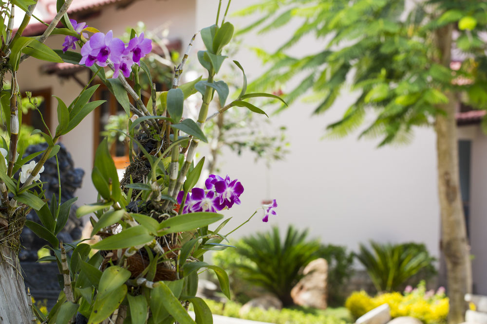 Diadem Resort ฟู้โกว๊ก ภายนอก รูปภาพ